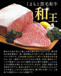 和王 肩ロース ステーキ用 約400g 菊池地域農業協同組合(JA菊池まんまキッチン)《90日以内に出荷予定(土日祝除く)》熊本県 菊池市 くまもと黒毛和牛 和牛 牛肉 お肉 熊本県産 九州産 国産 冷凍 送料無料