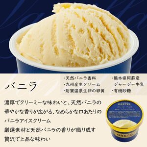 アイスクリーム アイス 濃厚でなめらかな口溶け！アイスクリーム3種9個 バニラ チョコレート 抹茶 スイーツ お菓子 ギフト プレゼント 洋菓子 人気 詰め合わせ【 財宝 】 KN021-025-01 菓子