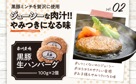 1393 南州農場 黒豚 バラエティ 詰合せ（NNF-3278） KN005-001 肉 豚肉 加工品