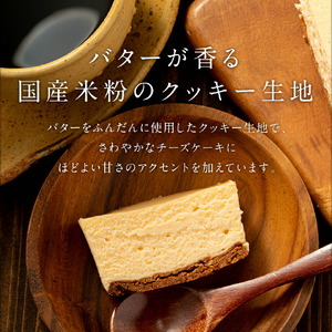 2028 オクタス チーズケーキ 2箱（ 250g × 2本 ） KN021-028-01 米 ケーキ