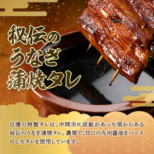 【3回定期便】九州産うなぎ蒲焼2尾　秘伝つゆだくタレ付【001-0383】