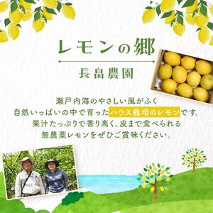 皮まで美味しい無農薬レモン 約2kg【栽培期間中農薬不使用】