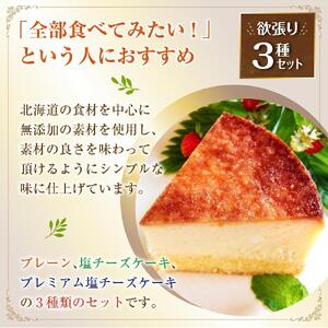どれも食べたい！「北海道産素材使用」【大地】チーズケーキ欲張り3種セット チーズケーキ_00184
