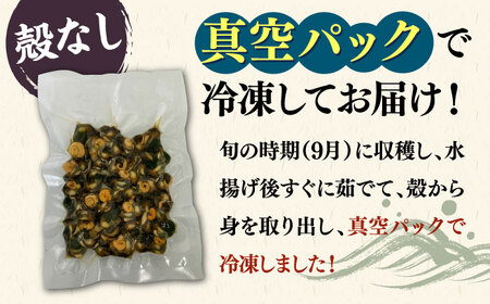 ボイル ミナ貝 450g（殻付き300g・殻剥き150g）《壱岐市》【鈴の海庭】 貝 魚貝 海産物 ボイル 刺身 小分け おつまみ サザエ ニナ貝 シッタカ [JFV001]