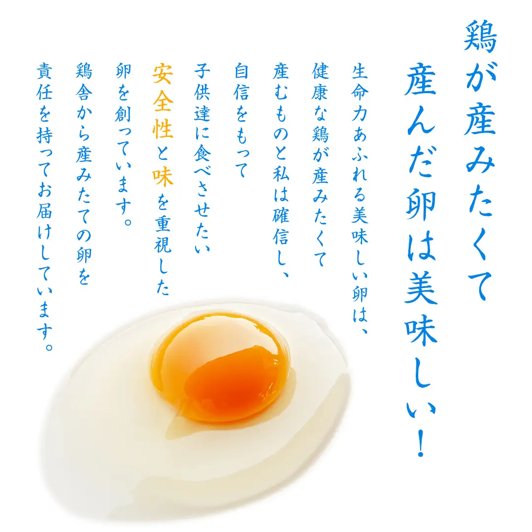 鶏卵 30個 ( 26個 + 破損補償分 4個 ) 卵 たまご 玉子 ふるさと納税 7000円 茨城県 八千代町 [CZ001ya]
