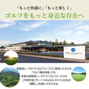 琵琶湖レークサイドゴルフコース　ゴルフ場利用券　6000円分　コース 琵琶湖レークサイドゴルフコース プレーフィ レストラン　ゴルフ場 コース 琵琶湖レークサイドゴルフコース プレーフィ 利用券 レストラン   滋賀県 DB-0002