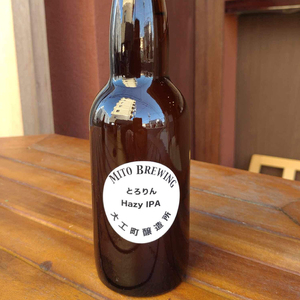 第１回水戸さきがけビジネス大賞 優秀賞受賞！【ぬりや】クラフトビール12本詰め合わせ（GW-2）