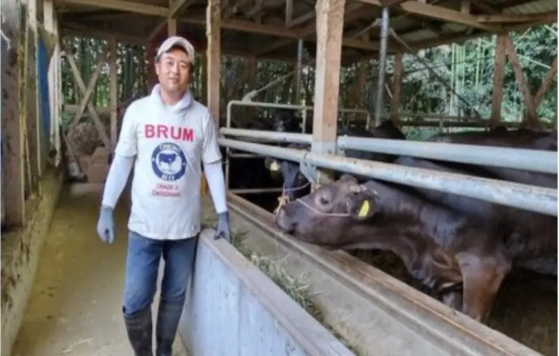 ＜なかむら謹製＞【博多和牛】博多和牛ミックスホルモン500g【A5-458】