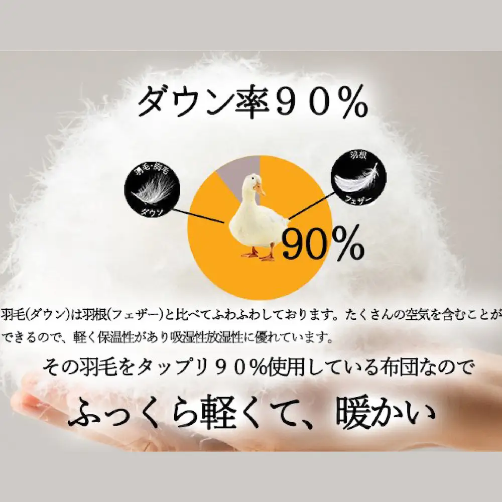 洗える羽毛布団 シングル クリーム 2枚セット 羽毛0.3kg 夏用 通年
