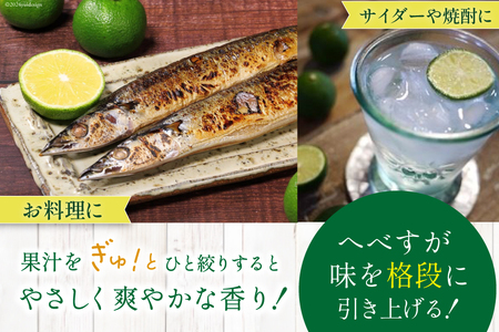 【期間限定発送】 へべす ひなたGAP認定 ふぞろい 2kg [へべすの悠美園 宮崎県 日向市 452060725]