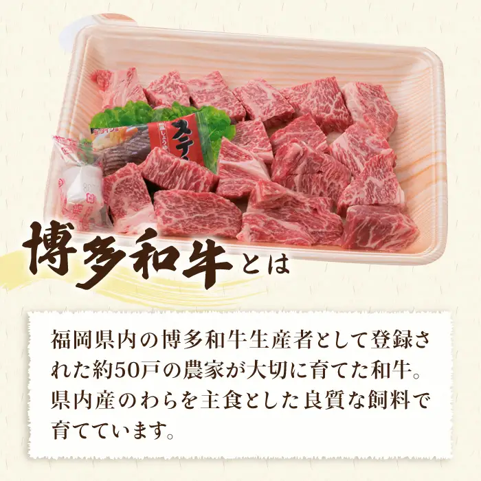 【全12回定期便】【セット】A4ランク 糸島 黒毛和牛 ヒレ肉 サイコロステーキ 300g/博多和牛と糸島産豚肉入り手作り生ハンバーグ 130g×3個 糸島市/糸島ミートデリ工房 [ACA298]