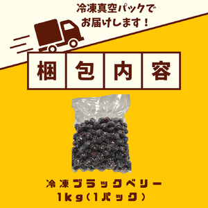 ブラックベリー 【先行予約：2026年6月末より発送予定】1kg ブラックベリーブラックベリーブラックベリー FN-SupportProject