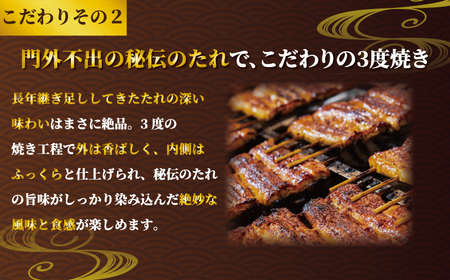 国産うなぎ蒲焼 真空パック 中 3枚 うなぎ