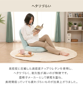 【ふるなび限定】女性の部屋になじむ座椅子 グレー FN-Limited-SP｜コンパクト 日本製 おしゃれ かわいい 背もたれ 1人掛け 和室 床置き 1人暮らし ローソファー フロアチェアー リビング リクライニング 腰痛 シンプル モダン 新生活 疲れにくい 国産 14段階ギア へたりにくい ふわふわ セルタン [0382]