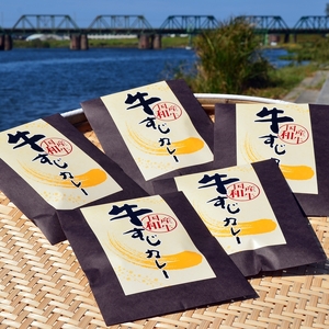 【6回定期便】ゴロッ!と入ったコラーゲン博多和牛　牛すじカレー5食セット【001-0388】