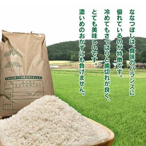 【令和7年】 5Kg 東旭川産無洗米ななつぼし ジュニア野菜ソムリエおすすめ！ |ななつぼし 北海道 限定 _01154