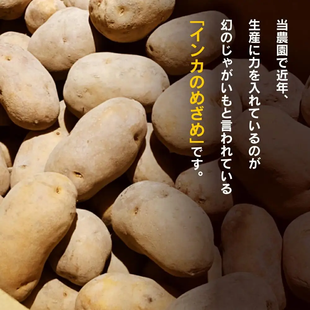 インカのめざめ（5kg）_01016