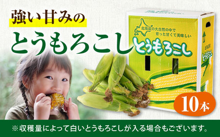 【先行予約】朝採れ とうもろこし 10本 《喜茂別町》【ニセコビュープラザ直売会協同組合】とうもろこし  [AJAH025]