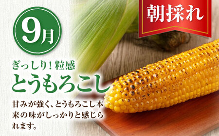 【全3回定期便】【先行予約】旬の恵み 3品目 [AJAH003] 野菜 定期便