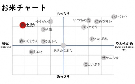 【令和7年産米】新之助 無洗米 6kg（2kg×3袋）中村農研 小分け しんのすけ[Y0127]