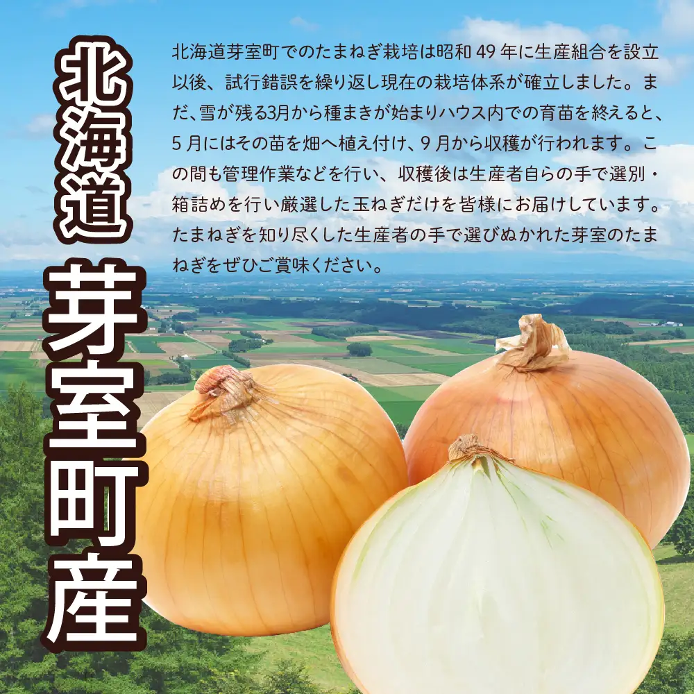 【先行受付】【2026年10月より配送予定】北海道 十勝 芽室産 たまねぎ 10kg 1箱 玉ねぎ 玉葱 タマネギ オニオン 野菜 ベジタブル 産地直送 新鮮 送料無料 お取り寄せ 10キロ 大容量 北海道産 道産 国産 芽室 めむろ 芽室町me002-023-26c