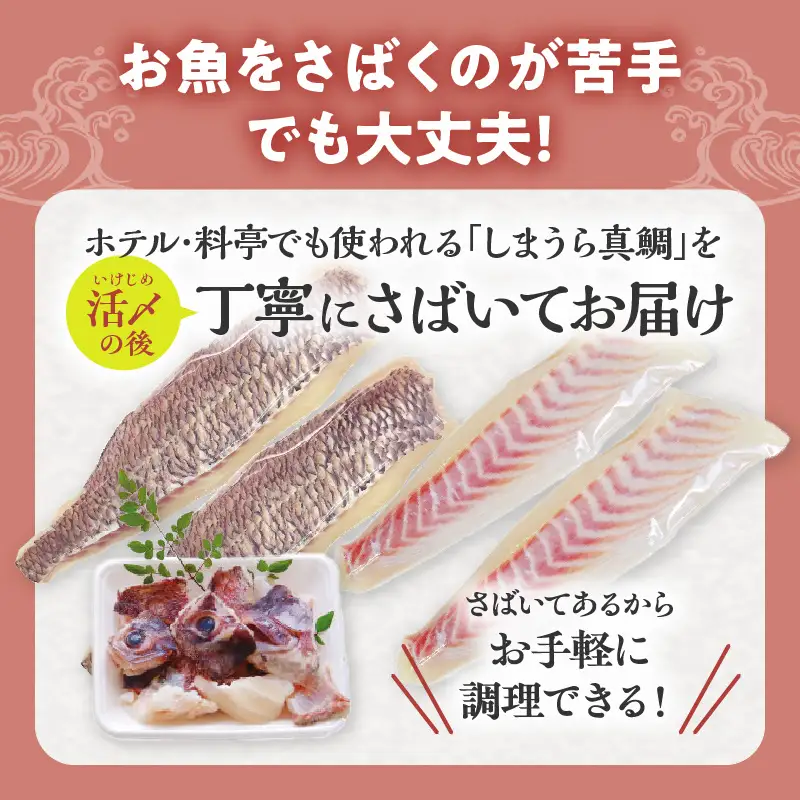 【完全無投薬】しまうら真鯛お刺身セット 魚 刺身 魚介