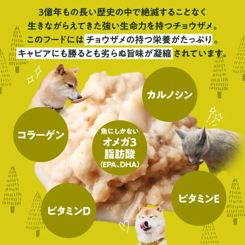 宮崎 -森のチョウザメ-sustainable PET FOOD ペットフード ウェットフード ペット用おやつ