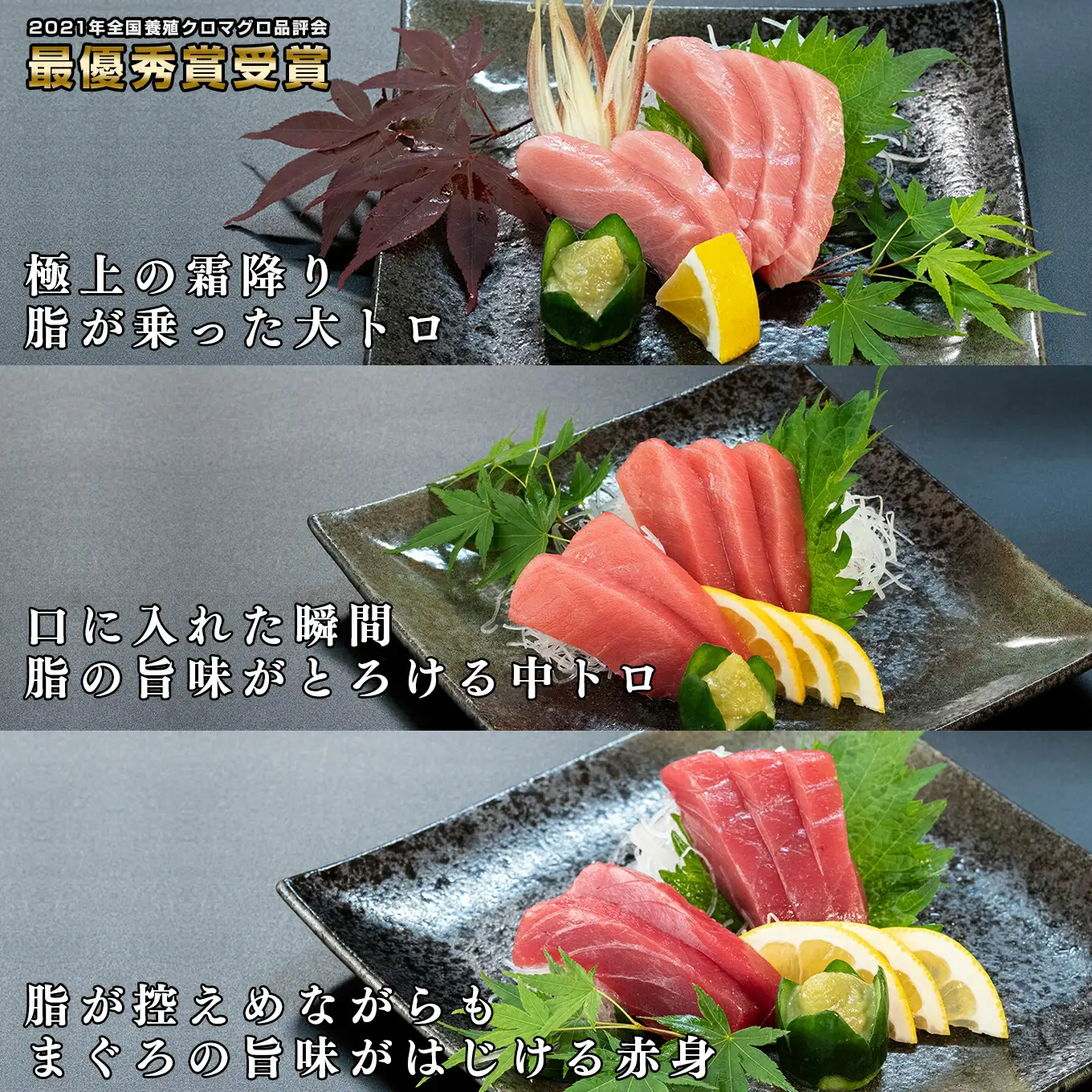 【3回お届け】黒潮本マグロ 贅沢! 食べ比べセット