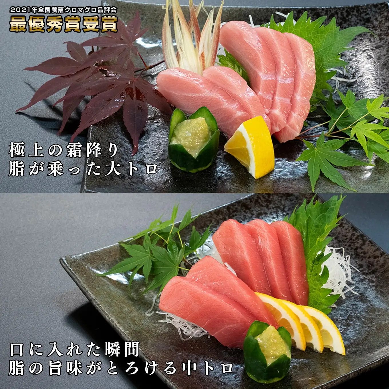 【3回お届け】黒潮本マグロ トロ好きのためのトロセット!
