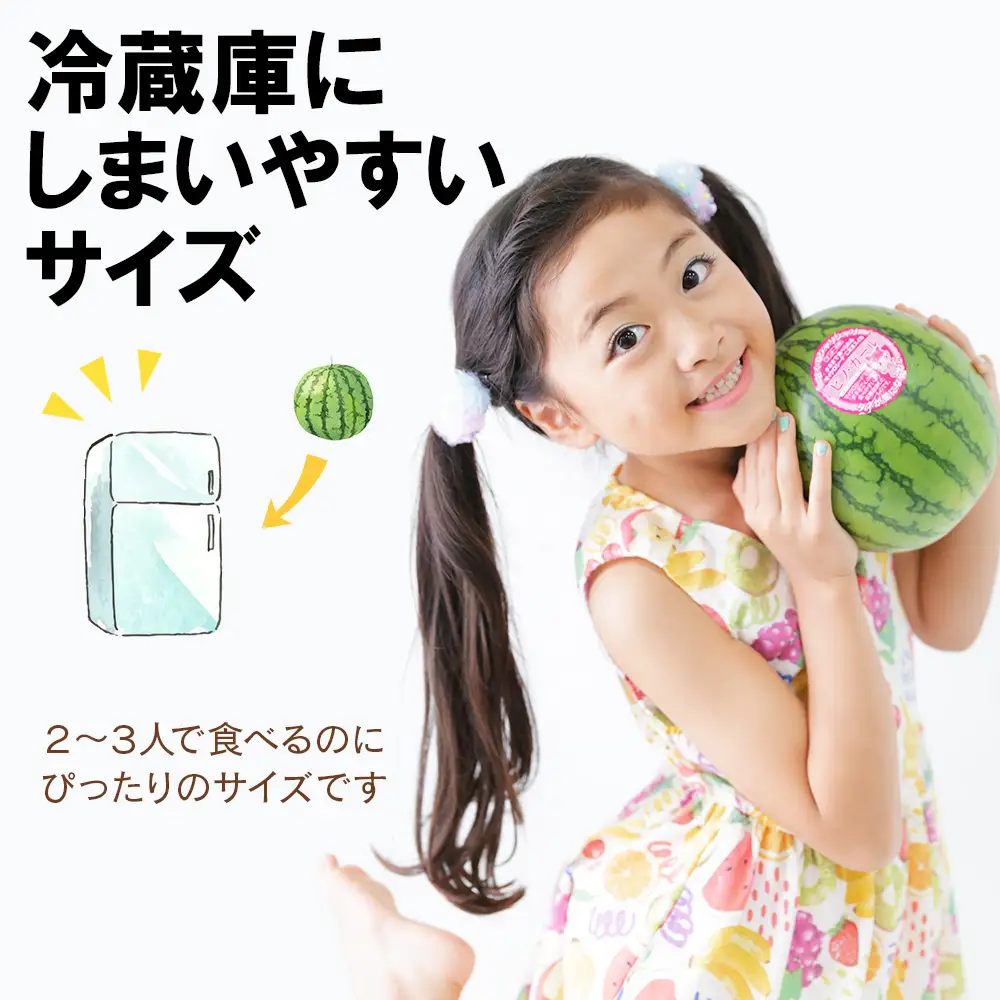 【2026年8月中旬より発送】 有機JAS認定！ スイカ ピノガール 数量限定 すいか 小玉 西瓜 フルーツ セット 果物  【かねこ農園】