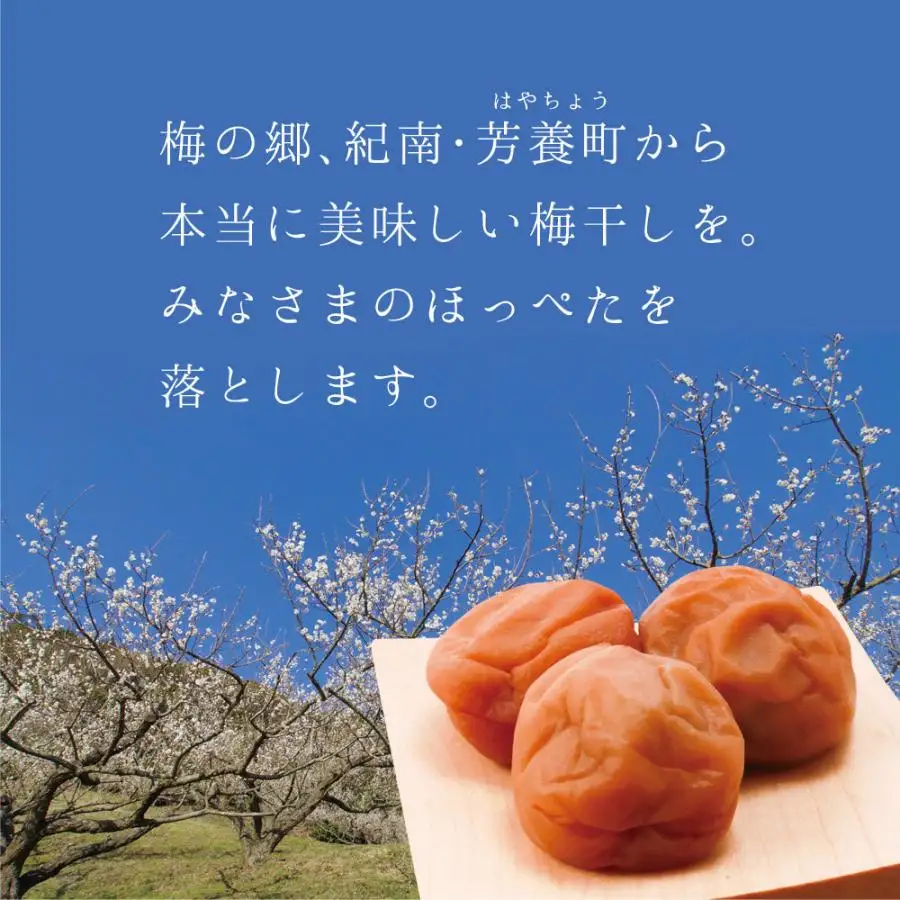 【A級品】紀州南高梅 はちみつ梅 1kg 塩分7％ / 梅干し 梅干 うめぼし 南高梅 はちみつ梅 はちみつ梅干し 国産 梅 うめ ウメ 完熟 健康 ご飯のお供 贈り物 ギフト プレゼント お取り寄せ お茶うけ せんのうめ 和歌山県 田辺市 仙宝【spo001-2】