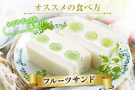 訳あり［不揃い・小粒］シャインマスカット 4パック 約1.3kg+100g補償付 ご家庭用 宮崎県新富町産 製菓用 先行予約 ※2026年8月下旬～【B638-26】