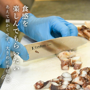 今話題沸騰中の房総手作り『いかメンチ』100g×10個【冷凍】　mi0047-0005