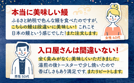 6回定期便 国産 うなぎ 3尾 CCA021 海鮮 鰻 うなぎ 贈答 ギフト ウナギ