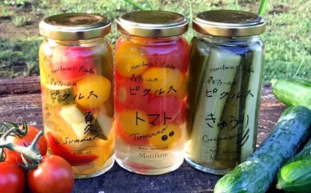 【無添加】季節の森ファームのピクルス 3個セット ※着日指定不可 _BI88
