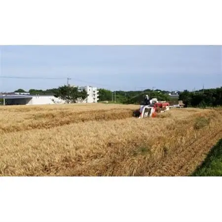 細うどんセット【1462591】