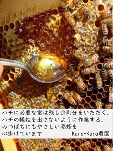 【数量限定】はちみつ450g 1瓶 Kura-Kura農園[V001330]