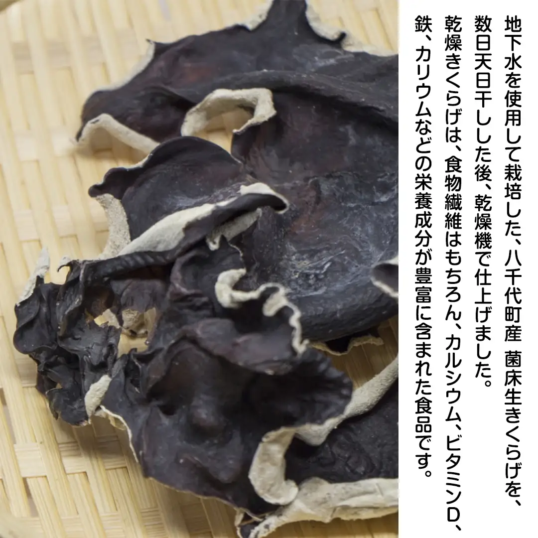 八千代町産 乾燥 きくらげ 約 40g キクラゲ 木耳 きのこ キノコ 乾燥 ふるさと納税 6000円 茨城県 八千代町 [CW002ya]