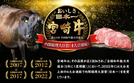 宮崎牛霜降り（ロース）ステーキ250g×2枚 計500g 宮崎牛 牛肉 お肉 国産牛 ブランド牛 和牛 ロースステーキ ロース ステーキ 霜降り ステーキ肉 贈答用 贈答 贈り物 プレゼント 冷凍 記念日 誕生日 内祝い グルメ BBQ 焼き肉 アウトドア ミヤチク お祝い ホームパーティー おもてなし _Tk031-013