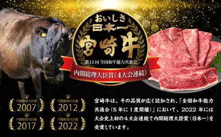 宮崎牛赤身（ウデ）焼きしゃぶ500g  牛肉 ブランド牛 和牛 赤身 ウデ肉 ウデ 焼きしゃぶ しゃぶしゃぶ すき焼き 贈答用 贈答 贈り物 ギフト 記念日 誕生日 炒め物 惣菜 おかず 内閣総理大臣賞4大会連続受賞 ミヤチク アウトドア キャンプ バーベキュー BBQ グランピング プレゼント _Tk031-015