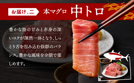 三崎マグロ 鈴木水産 天然本マグロ （ 大トロ ・ 中トロ 赤身 ） セット M105-002 冷凍 マグロ