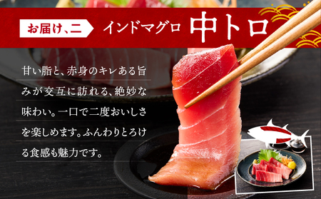 三崎マグロ 鈴木水産 天然インドマグロ （ 大トロ ・ 中トロ 赤身 ） セット M105-001 冷凍 マグロ