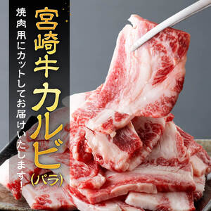 【令和8年6月発送】【訳あり】 宮崎牛 カルビ（ バラ ） 焼肉 500g 【 肉 牛肉 焼肉 BBQ 焼き肉 焼くだけ おかず 簡単調理 】