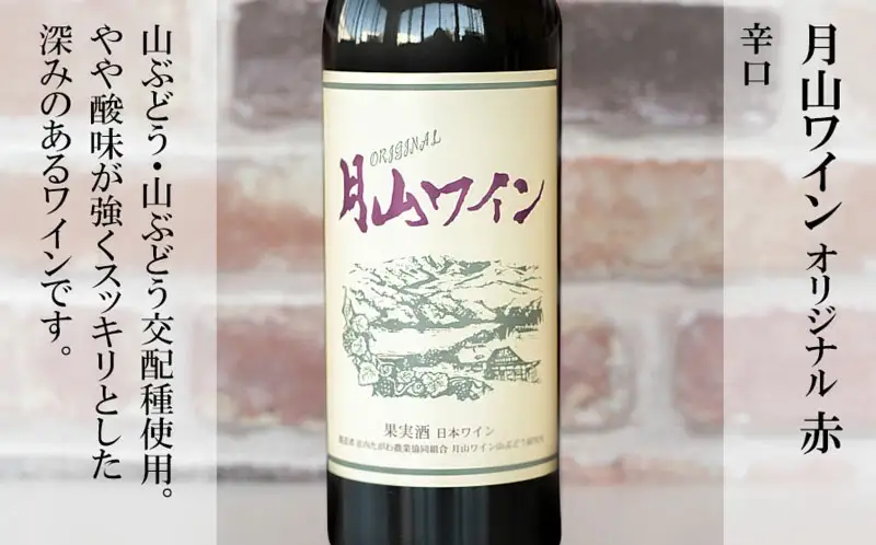 月山ワイン　赤ワイン６本　お楽しみセット　E16-201