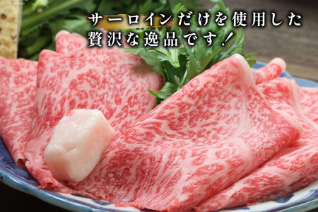 牛肉 【A4～A5】 博多和牛 サーロイン しゃぶしゃぶすき焼き用 300g×2p 計 600g [MEAT PLUS 福岡県 筑紫野市 21760755]