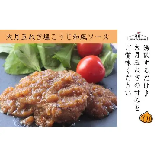 2種のソース「お肉屋さんのふっくら大月玉ねぎハンバーグ」8個セット