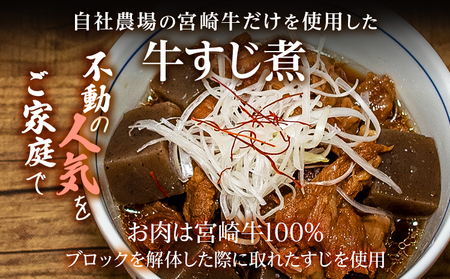 九州産黒毛和牛100％ 手ごねハンバーグ&牛すじ煮 計4個セット 自家製ハンバーグソース付き 惣菜 晩御飯 晩ご飯 晩飯 夕飯 夜ご飯 夜食 洋風 和風 つまみ オリジナル たれ 煮込み 壱岐ファーム ビーフ 宮崎牛