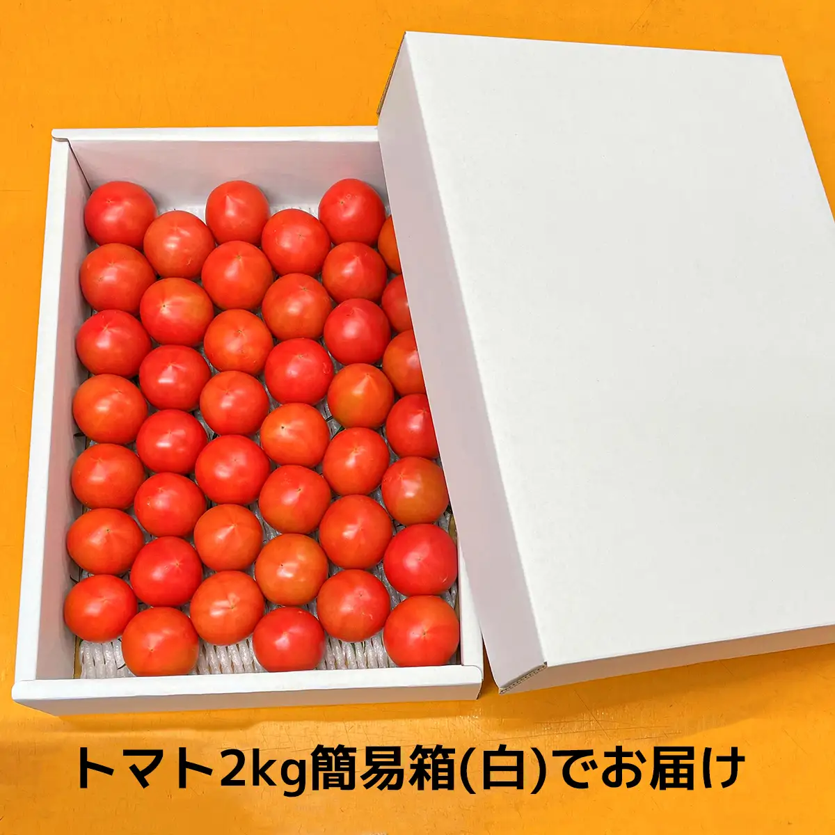 まっことうまい！水田さんのフルーツトマト【約２kg / 簡易箱入】