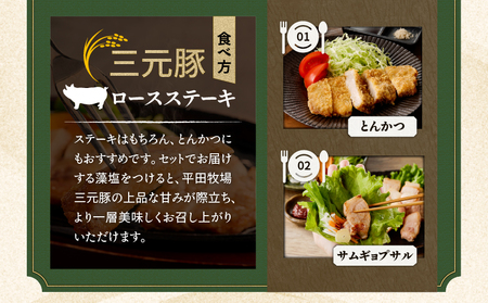 日本の米育ち平田牧場 三元豚ロースステーキ 100g×6枚（計600g）　T036-012 肉 豚肉