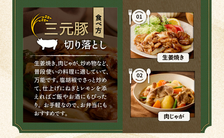日本の米育ち平田牧場 三元豚切り落とし 500g×2パック（計1kg）　T036-004 肉 豚肉